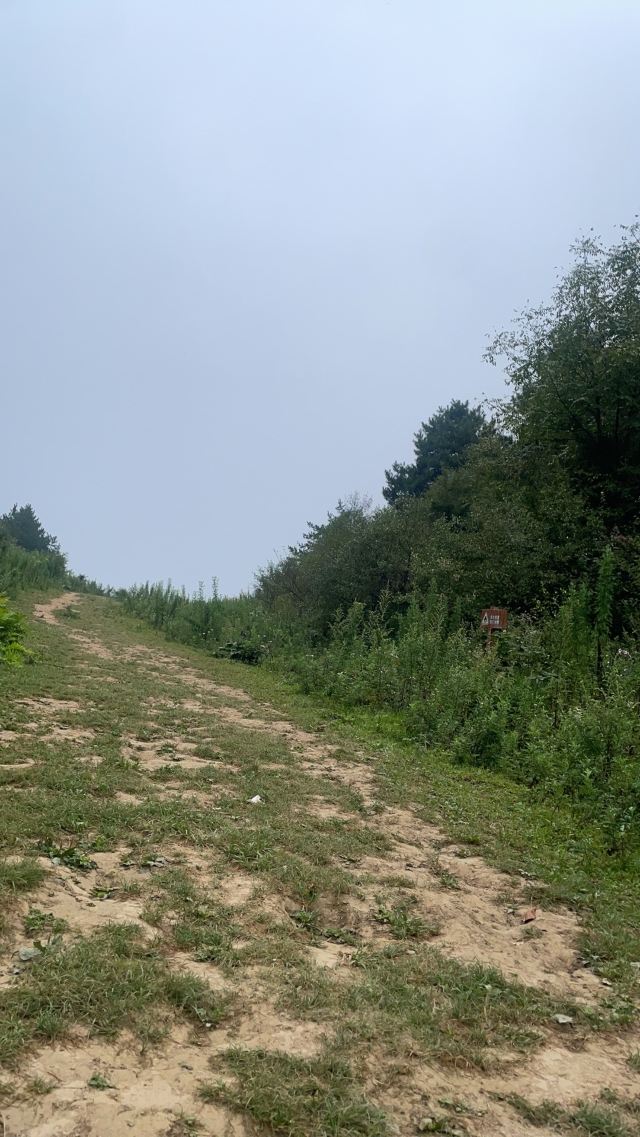 大秦四合院旅行图片 1