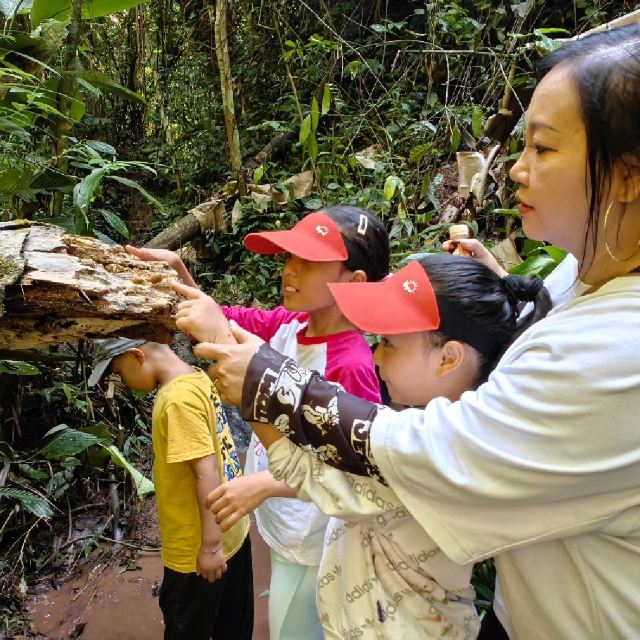 基诺山达娘雨林徒步旅行图片 1