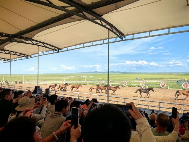 呼伦贝尔大草原巴尔虎蒙古部落(暂停开放)旅行图片 1