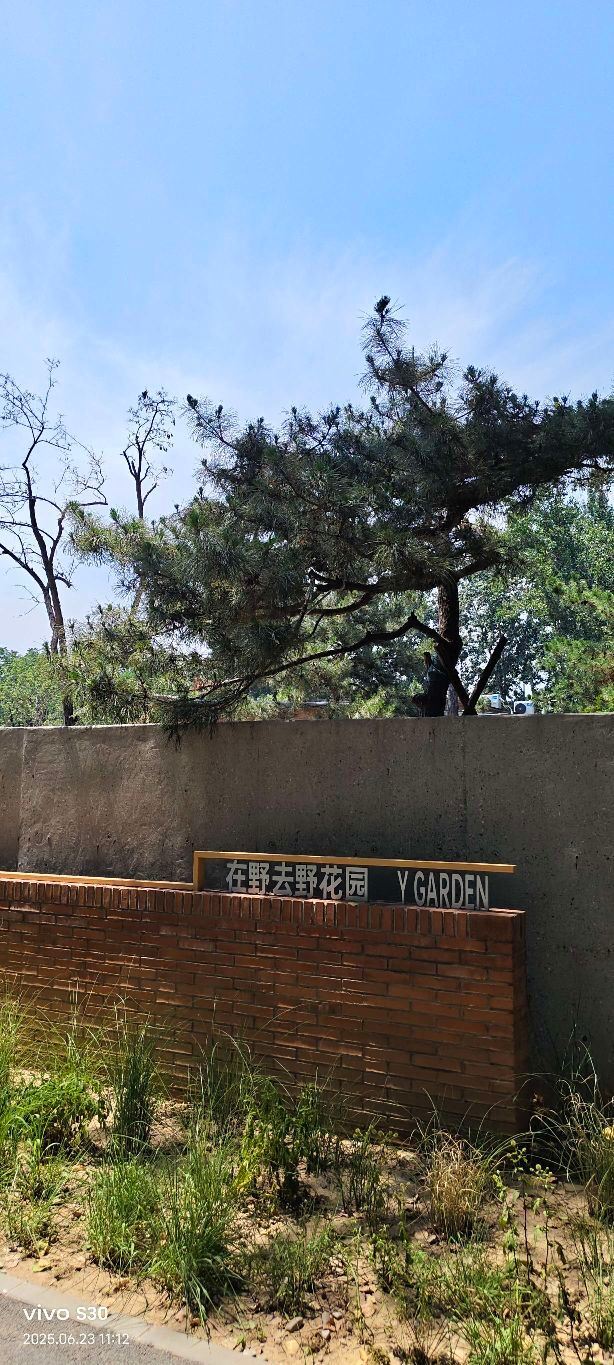 四得公园旅行图片 11