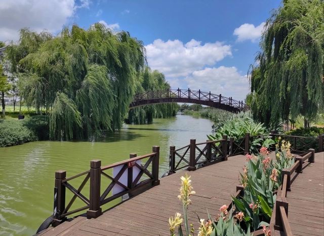 麒麟水乡旅行图片 3