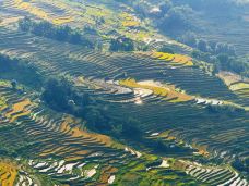 老虎嘴梯田-元阳-YoYo_8P7I1W0V