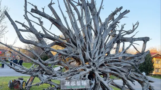 碧泉湖