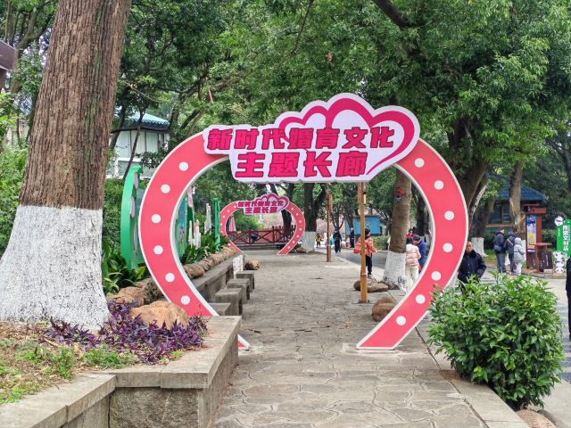 七星景区旅行图片 3