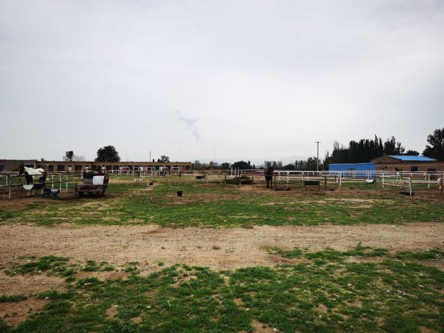 赛汗塔拉城中草原旅行图片 3