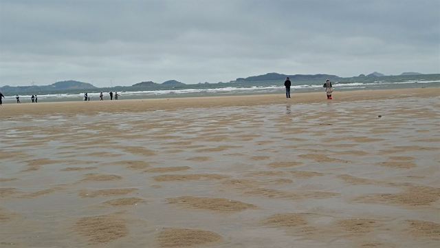 蓝眼泪观景点(长江澳海滩)旅行图片 7