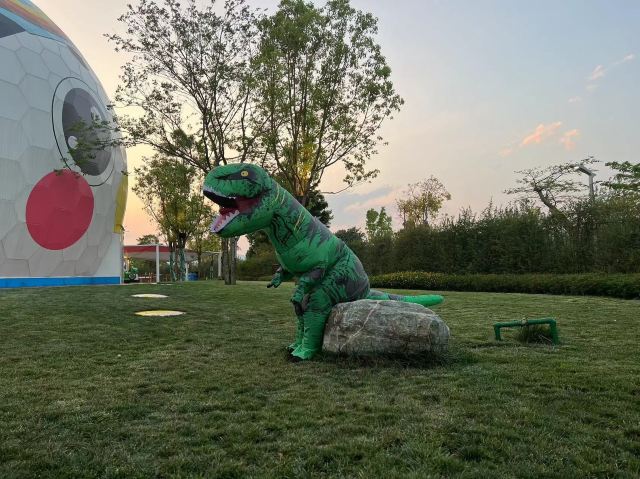紫陶里乐园旅行图片 1