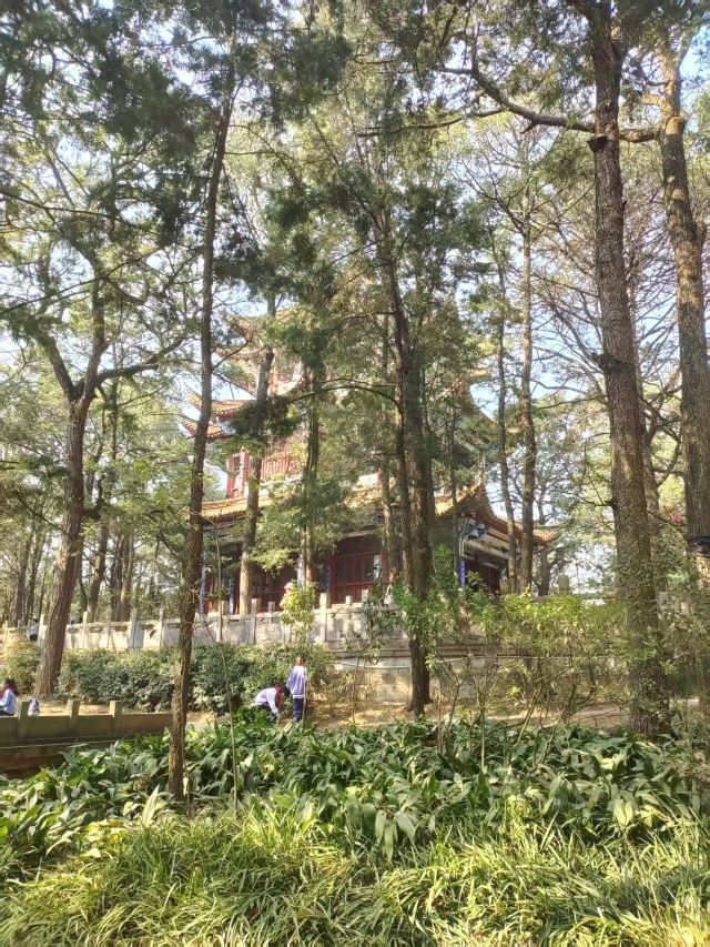 金殿风景名胜区旅行图片 5