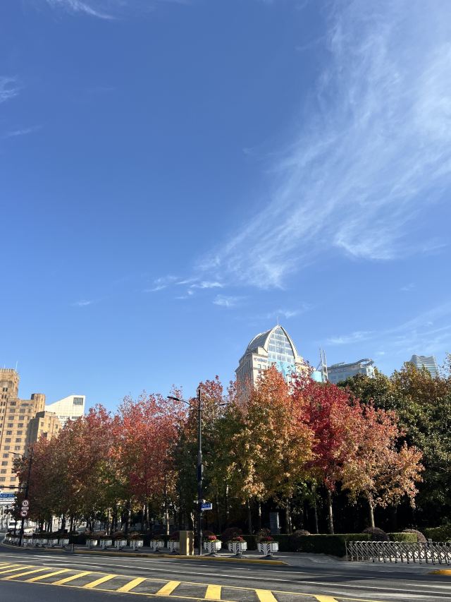 黄浦公园旅行图片 3