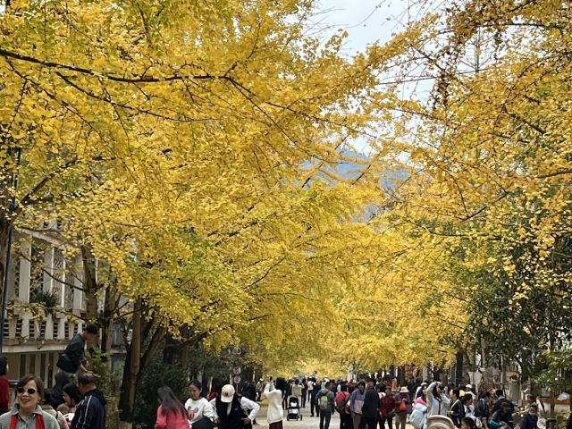 南雄帽子峰旅游景区旅行图片 3