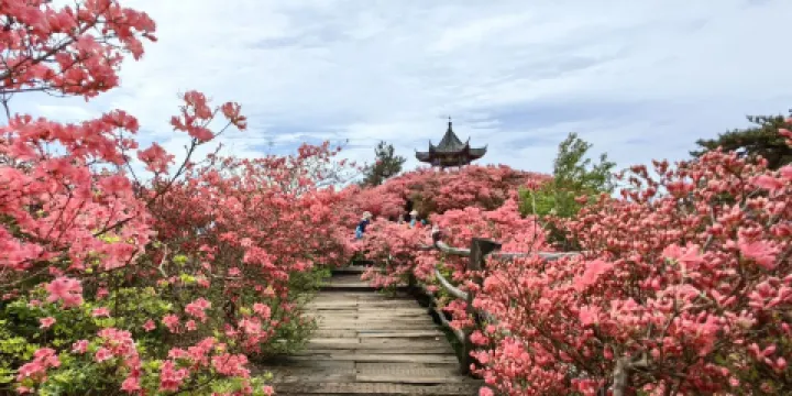 龜峰山風景區-觀景台