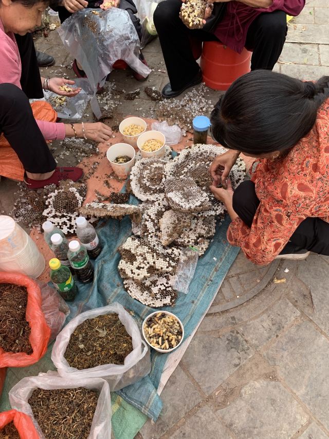 巍山古城旅行图片 7