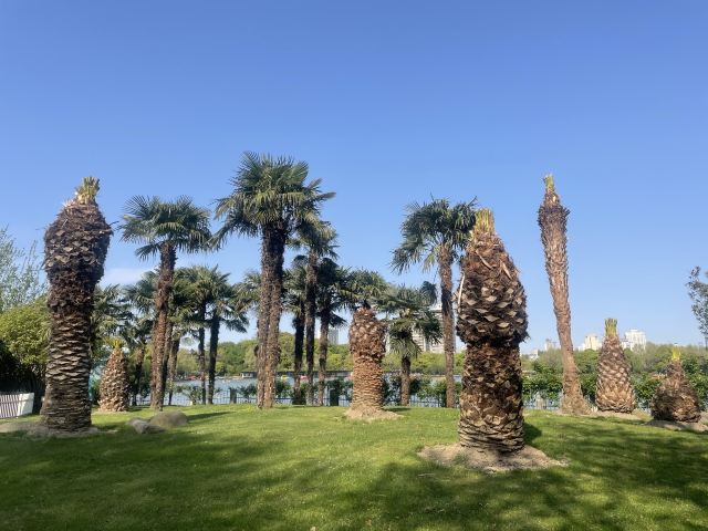 上海长风公园旅行图片 3