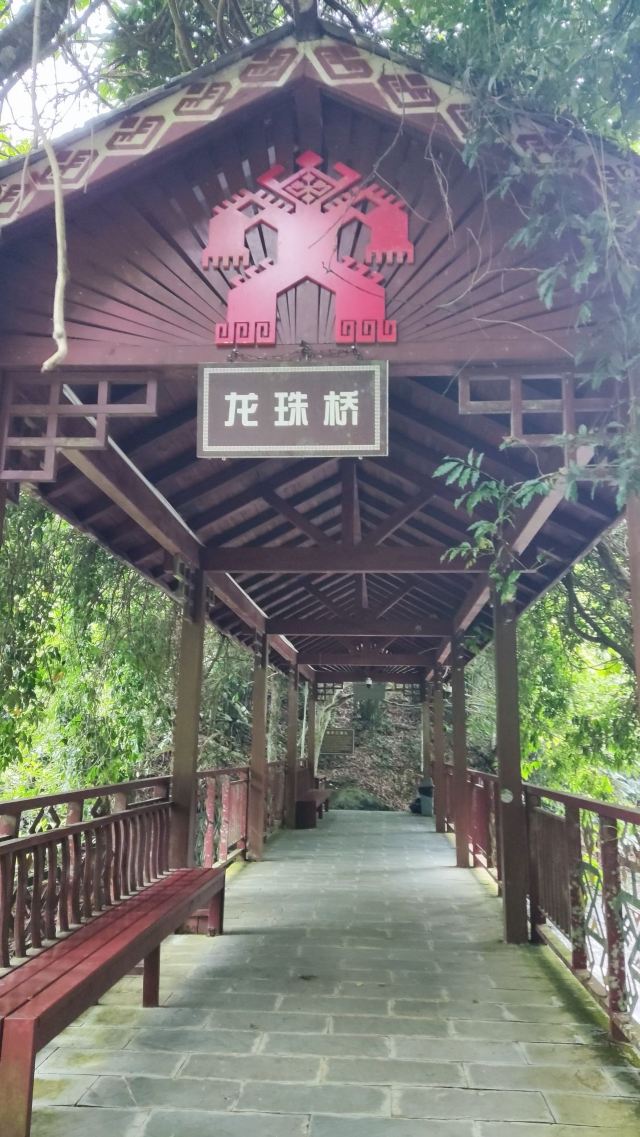 海南热带雨林国家公园五指山景区旅行图片 5