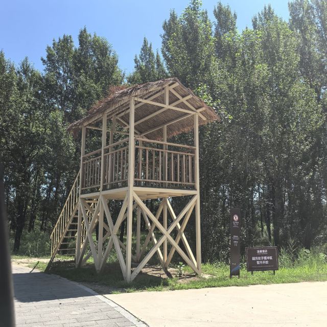 野鸭湖国家湿地公园旅行图片 9