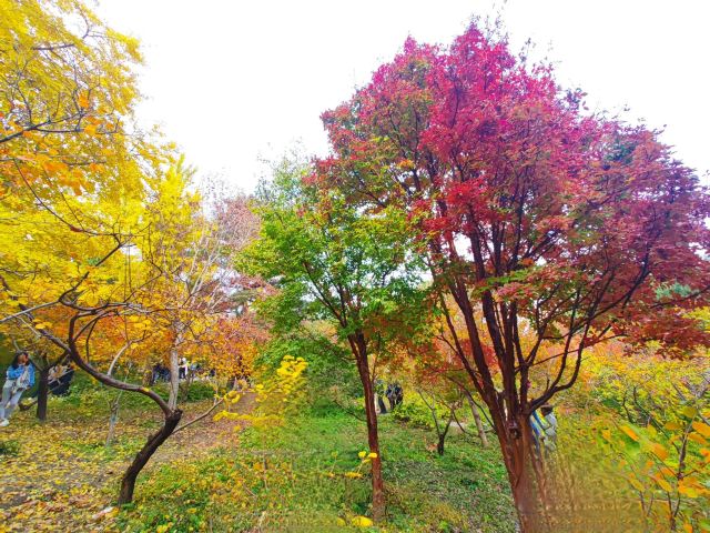 香山公园旅行图片 3