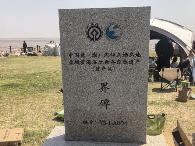 日出海湾旅行图片 8