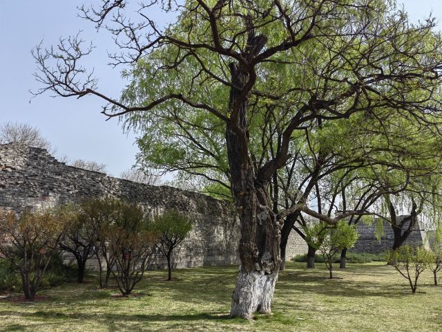 北京明城墙遗址公园旅行图片 2