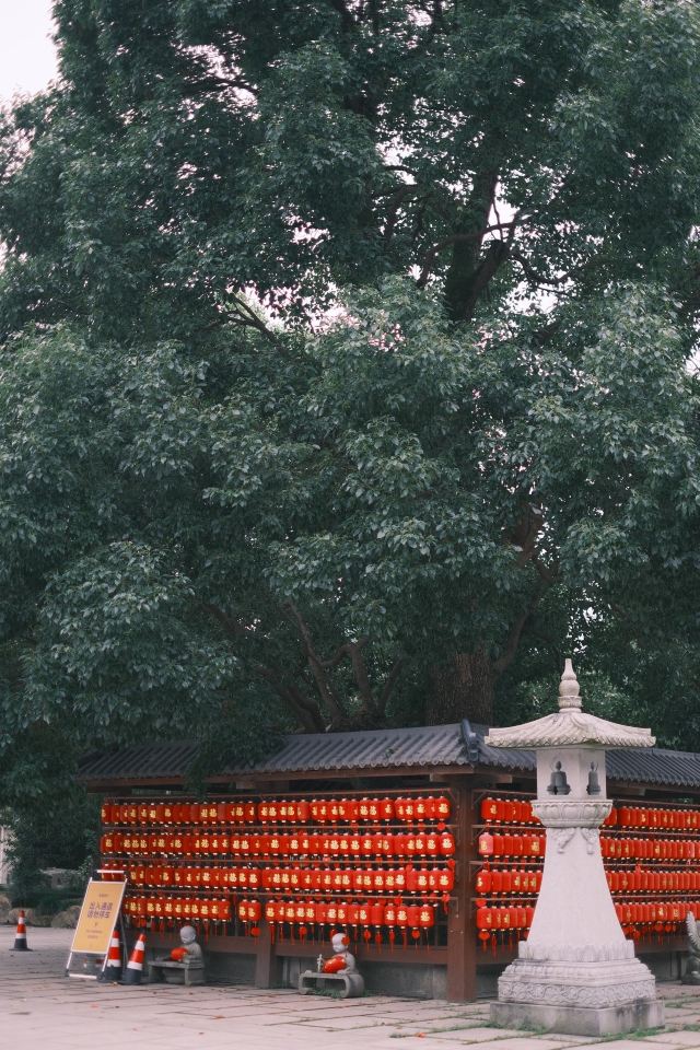 头陀寺旅行图片 5