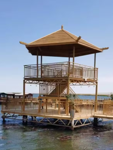 莲海世界-博湖-风雨同行落叶