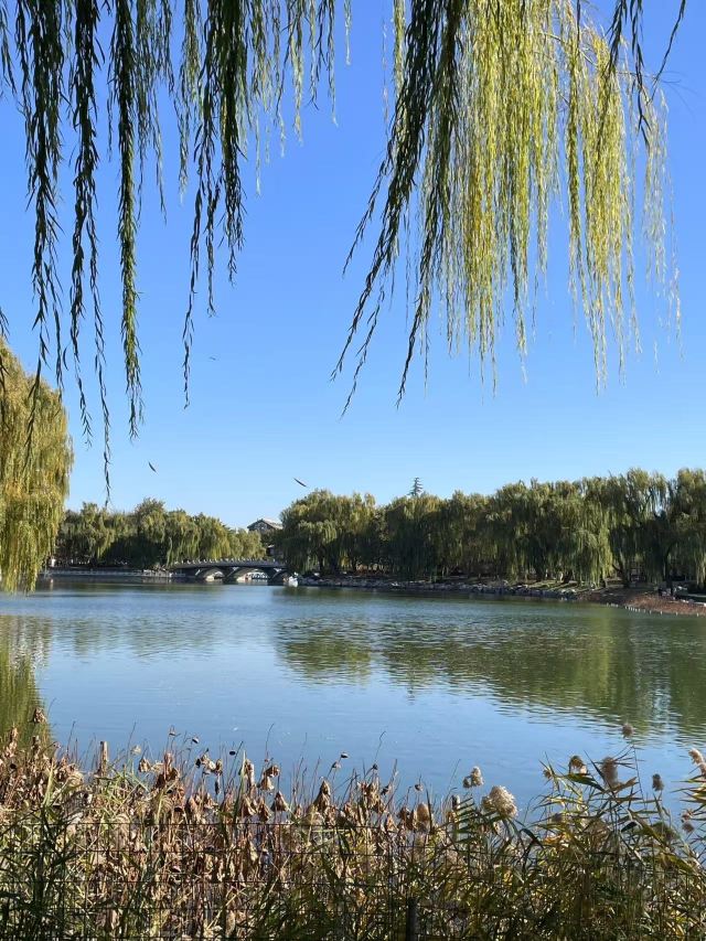 陶然亭旅行图片 3