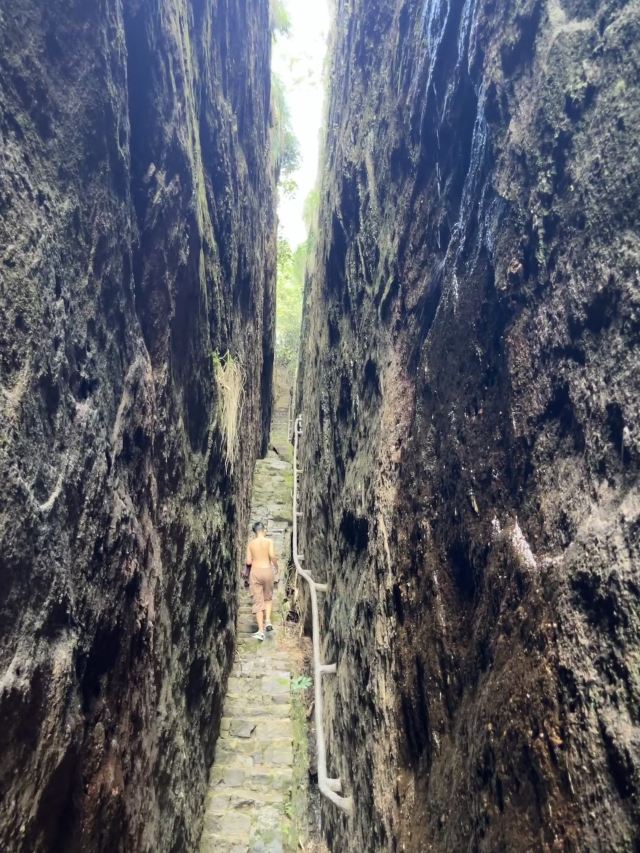 青龙岩风景区旅行图片 6