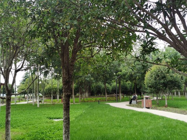 泾渭分明观景台旅行图片 5