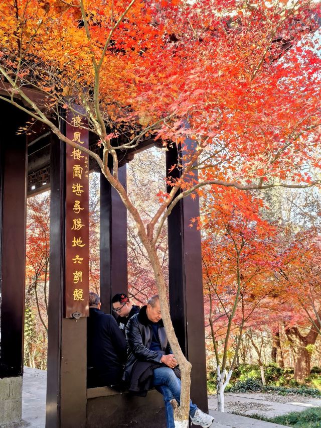 栖霞禅寺牌坊旅行图片 3