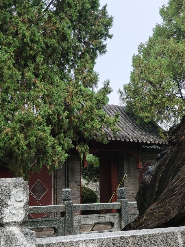 岱庙旅行图片 4