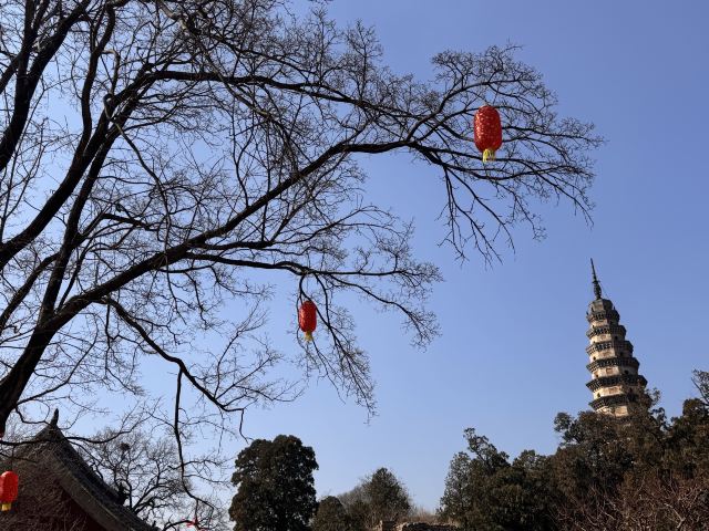 灵岩寺景区旅行图片 1