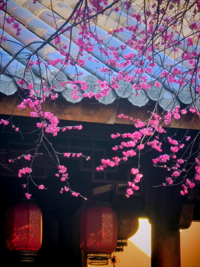湖州铁佛寺旅行图片 12