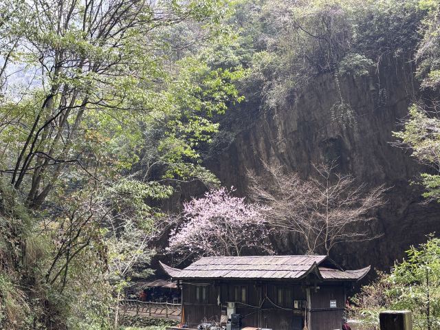 张家界大峡谷旅行图片 2
