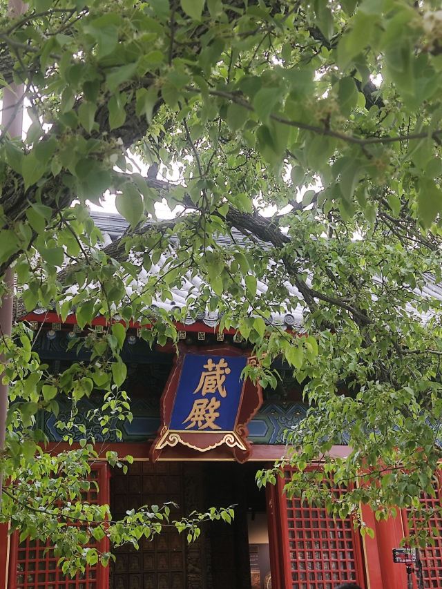 智化寺旅行图片 8