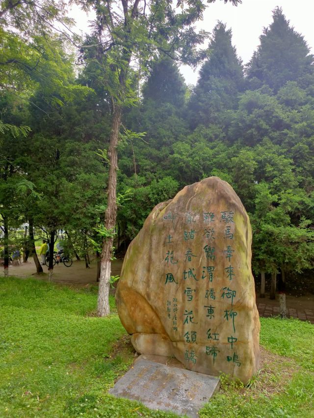 古渡公园旅行图片 6