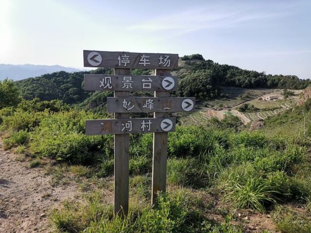 玫瑰谷旅行图片 12