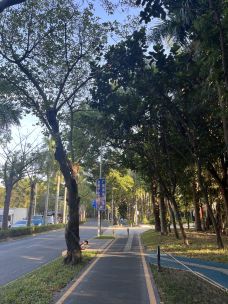 宝安公园-深圳-改名字了关关