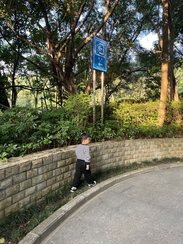 尖岗山公园旅行图片 2