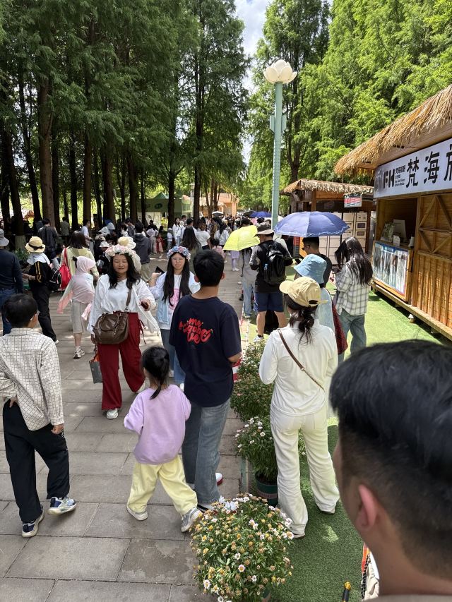 海洪湿地泼水广场旅行图片 2