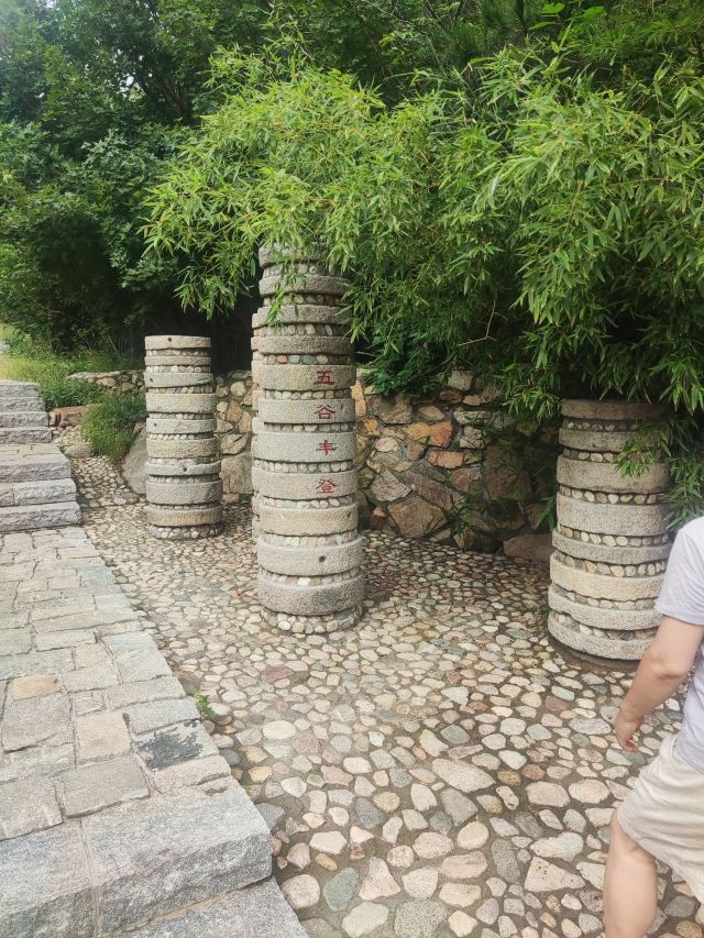 金山公园旅行图片 1
