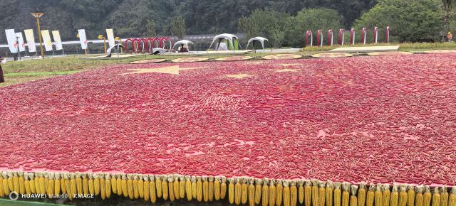 溪东童话村旅行图片 1