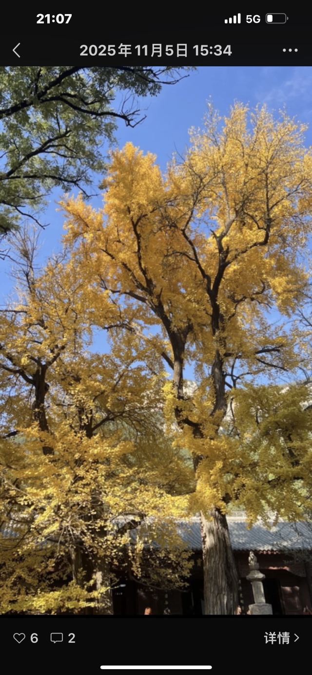 灵岩寺景区旅行图片 2