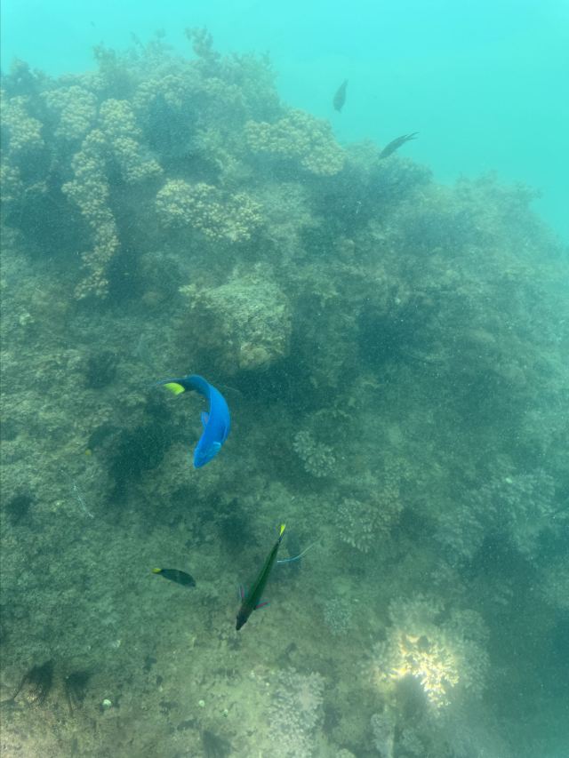大东海旅游区旅行图片 6