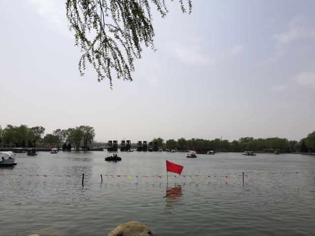 石家庄植物园旅行图片 13