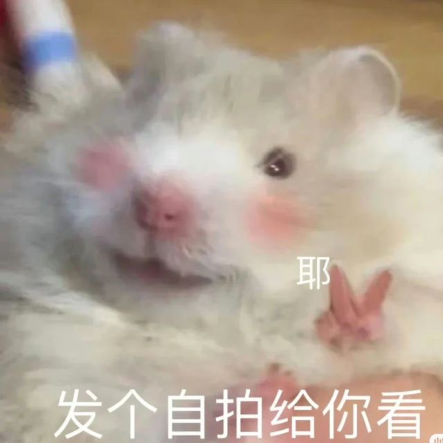 勒通古镇·千户藏寨旅游景区旅行图片 3