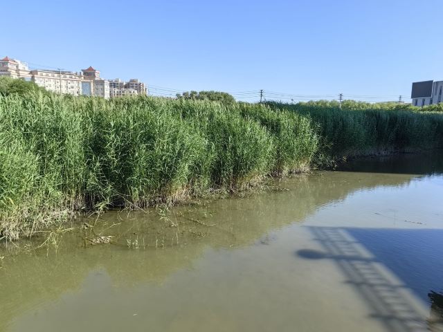 国家城市湿地公园旅行图片 1