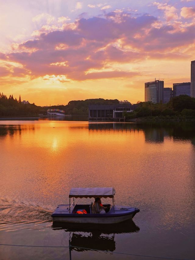 上海大宁公园旅行图片 2