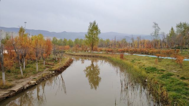 平安心湿地公园旅行图片 3