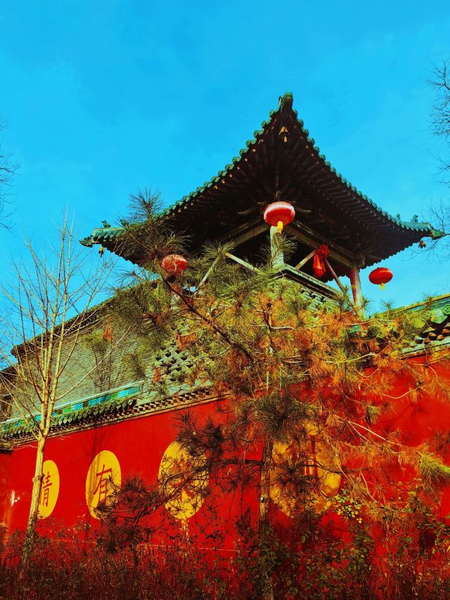 崇善寺旅行图片 15