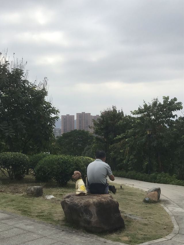 蔡尖尾山公园旅行图片 2
