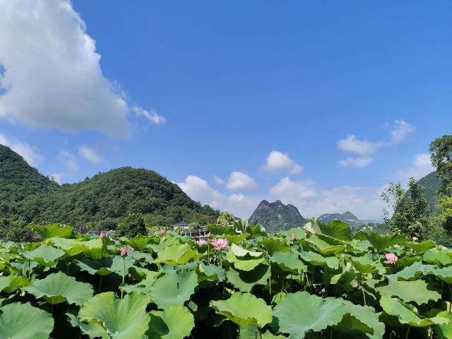 蓝山源岭南东方温泉旅行图片 4